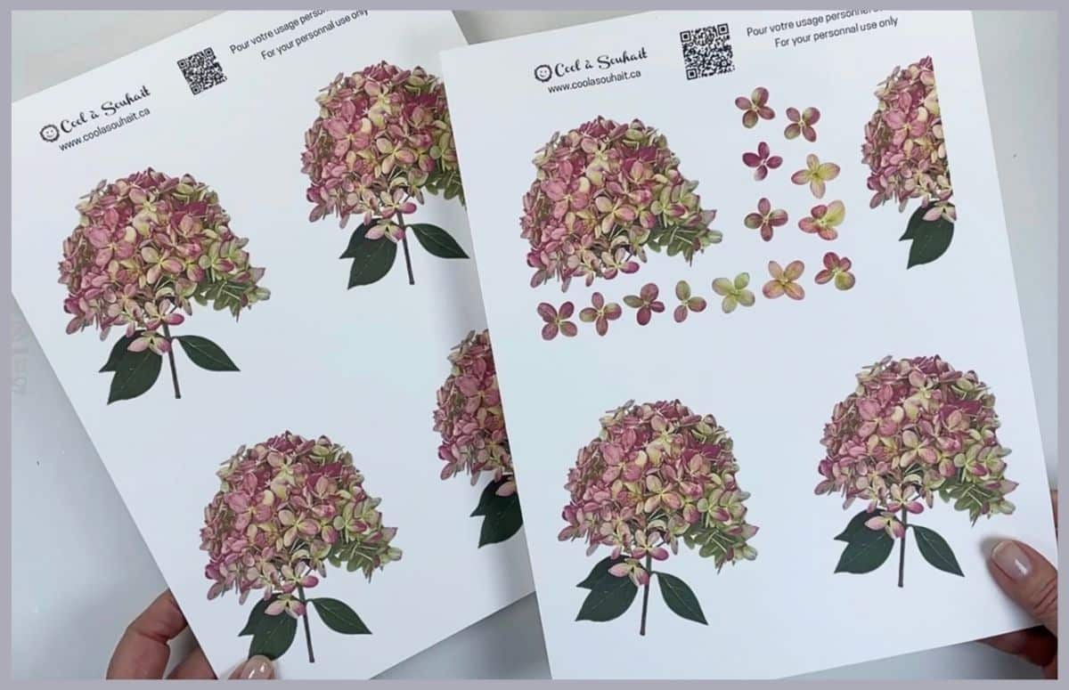 PDF gratuit pour fabriquer des cartes de voeux avec hydrangeas.